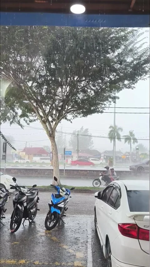 Raining heavily. Stock Footage 320977162