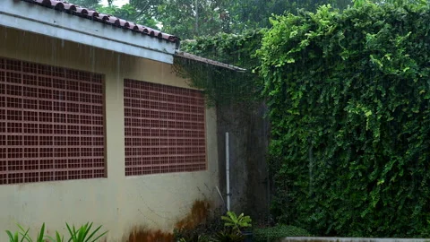 Raining at house backyard panning shot Stock Footage 200952433