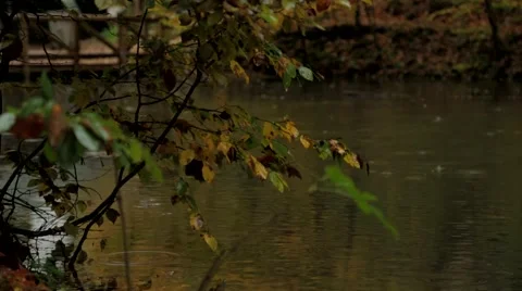 Raining on the lake Stock Footage 43319474