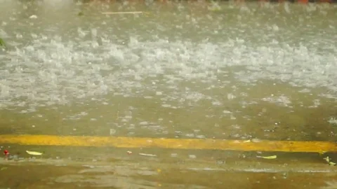 The raining landscape Stock Footage 79961096