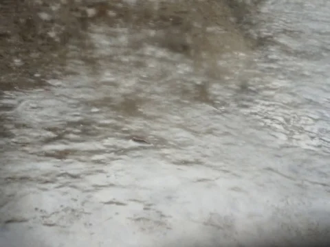 Raining with looping clip Stock Footage 74513470