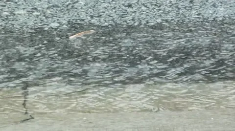 Raining make water flow Stock Footage 64890556