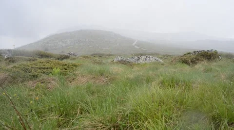 Raining On a Mountain Stock Footage 61324529