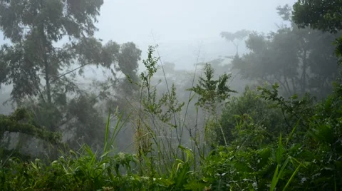 Raining in the mountain Stock Footage 66996591