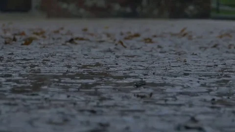 Raining on Muddy Pavement Stock-Footage 69268943