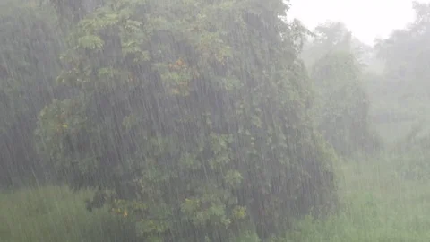 Raining on nature background. Stock Footage 79838636