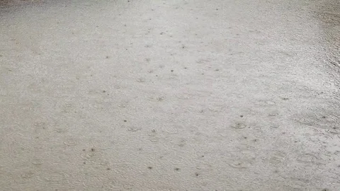 Raining on nature background. Stock Footage 81054584