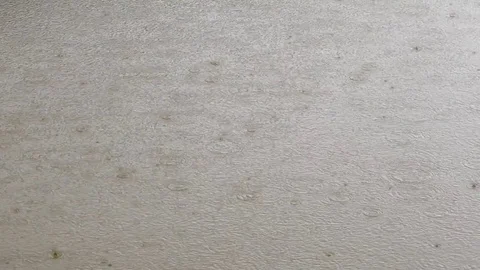 Raining on nature background. Stock Footage 81057042