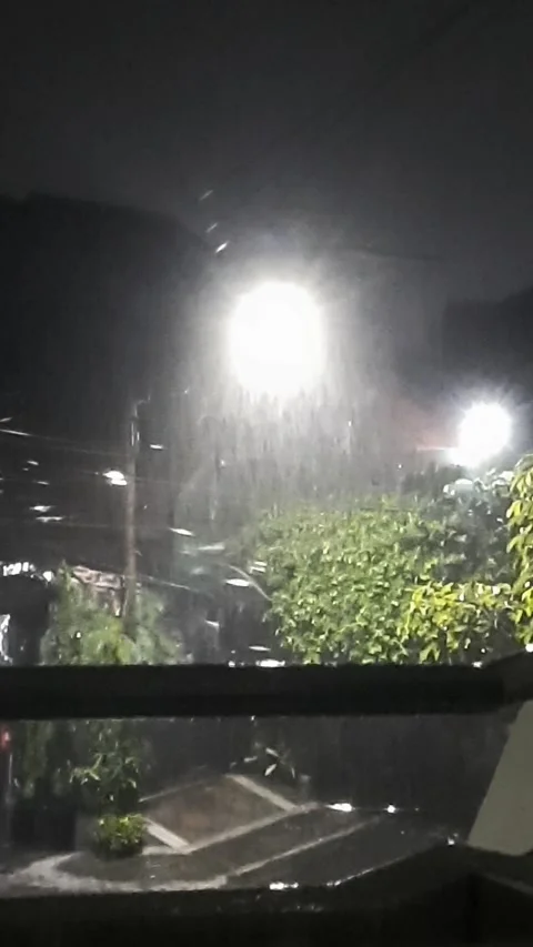 Raining Night, Vertical View Stock Footage 335722967