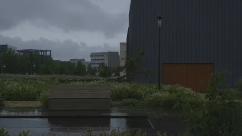 Raining on an Office Garden Stock Footage 95757472