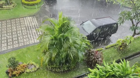 Raining in the office garden Stock Footage 323828462