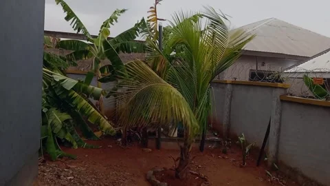 Raining outside the house environment. Stock Footage 314755448