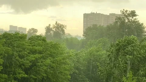 Raining outside. Strong wind. Trees swaying. Sound of rain Stock Footage 155379862