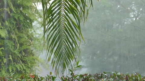 Raining in Paradise Stock Footage 58197969