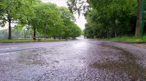Raining in the park 02 스톡 동영상 40032625