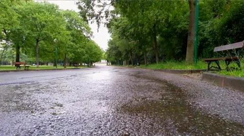 Raining in the park 03 Stock Footage 40033788