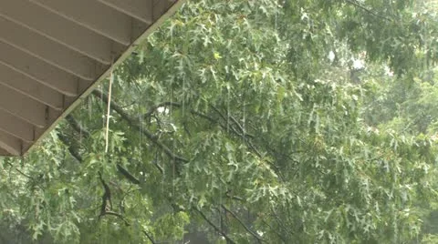 Raining in the park Stock Footage 11689906