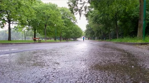 Raining in the park Stock Footage 40032531