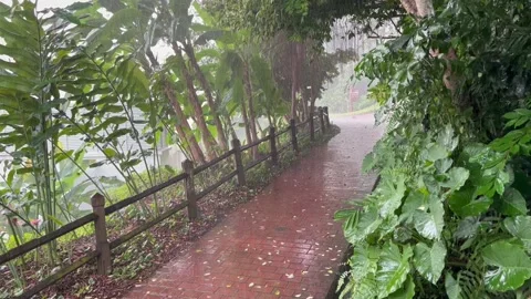 Raining at the Park Stock Footage 167068654