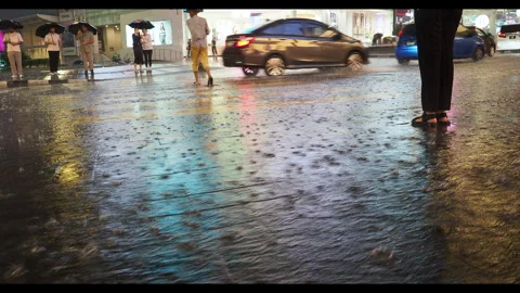 Raining at Pedestrian Crossing Stock Footage 303416856