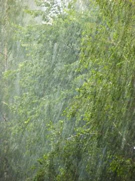 Raining Stock Photos