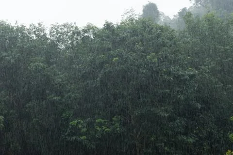 Raining Stock Photos