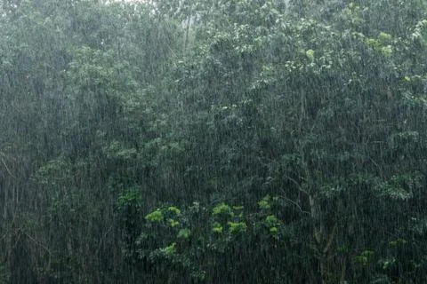 Raining Stock Photos