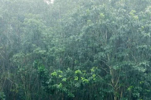 Raining Stock Photos