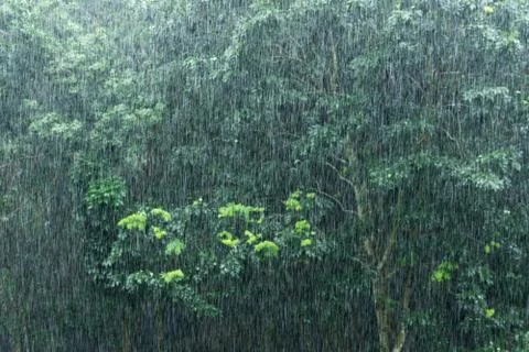Raining Stock Photos