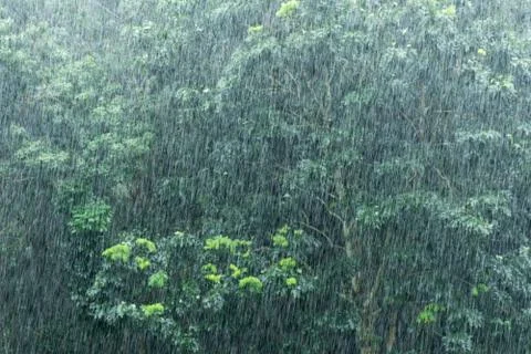 Raining Stock Photos