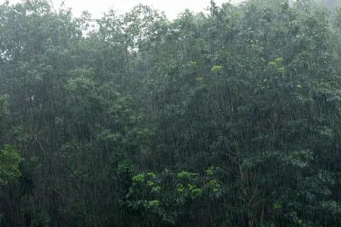 Raining Stock Photos