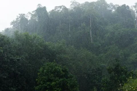 Raining Stock Photos
