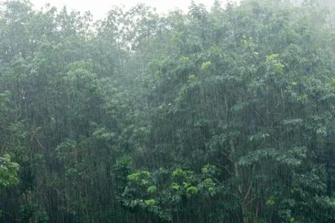 Raining Stock Photos