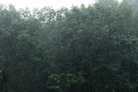 Raining Stock Photos