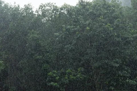 Raining Stock Photos