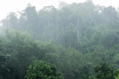 Raining Stock Photos