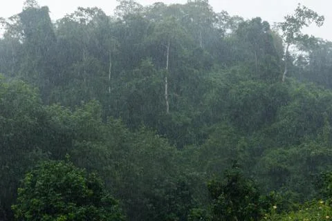 Raining Stock Photos