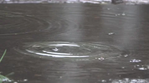 Raining raindrops in a puddle Stock Footage 171865753