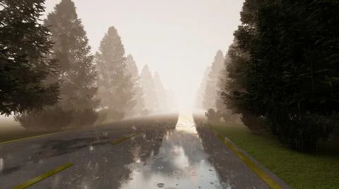 Raining at road forest Illustrazione stock