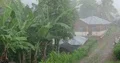 Raining season fog in a small mountain village in Flores - Indonesia 4k or 4k+ Resolution