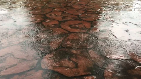 Raining on a sidewalk tiles Stock Footage 100806260