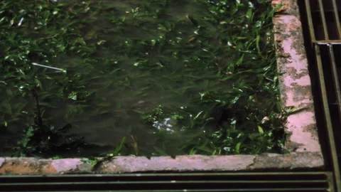 Raining in Singapore Slow Motion Video stock 150647499