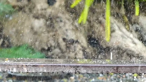 Raining in slow motion.	 Stock Footage 89679058