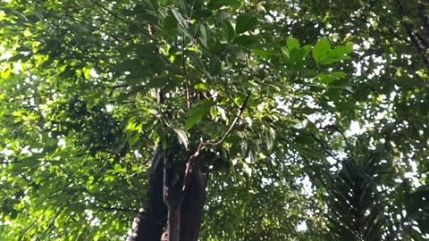 Raining in slow motion Stock Footage 328160662