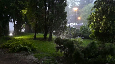 Raining in a small park, Slow motion Stock Footage 51844838