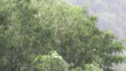 Raining, Storm, Torrential Summer Rain in Forest, Inundation, Flooding Calamity Stock-Footage 346681137