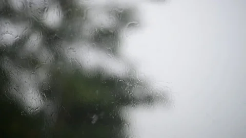 Raining on street Stock Footage 77596679