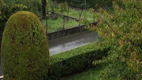 Raining on the street Video stock 141924986