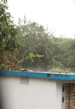 Raining in summer raindrops falling down the floor. Stock Photos