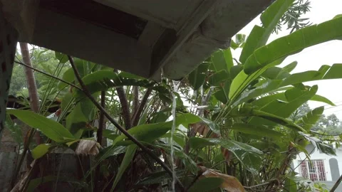 RAINING THROUGH CATCHER Stock Footage 145297385